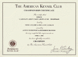 championship certificate AKC.gif (50736 bytes)