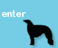 ENTER OZSOME BORZOI