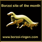 Borzoi-Ringen SWEDEN