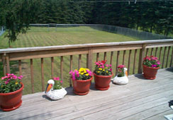 deckfence.jpg (23188 bytes)