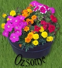 flowersleft.jpg (18500 bytes)